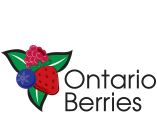 Ontario Berries